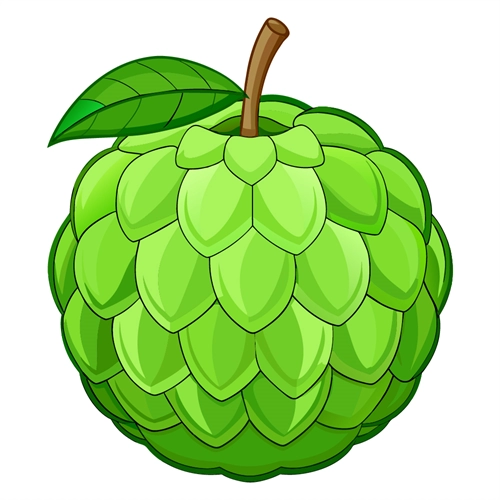 Custard Apple Classroom Fruit Transparent Sticker